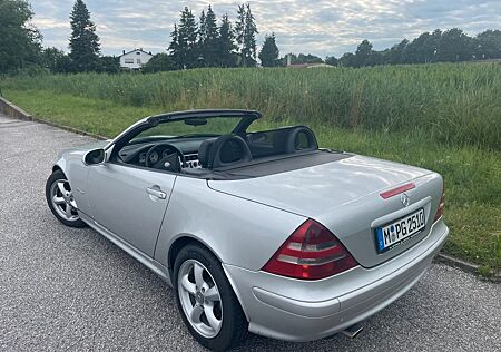 Mercedes-Benz SLK 200 KOMPRESSOR Final Edition Final Edition