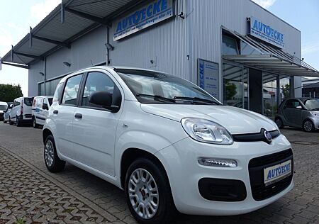 Fiat Panda Easy 1.2 KLIMA/1.Hand/Servo/Allwetterreif.