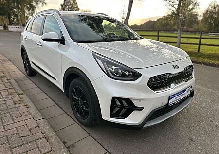 Kia Niro Vision