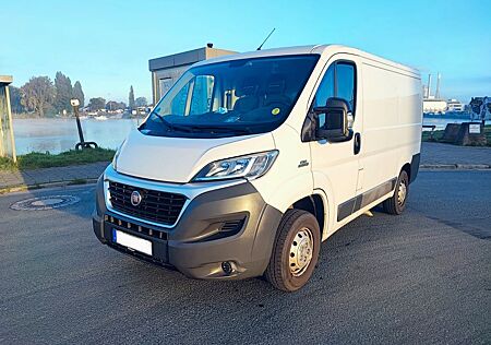 Fiat Ducato L1H1