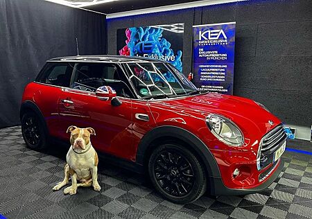 Mini Cooper inkl WR auf LM