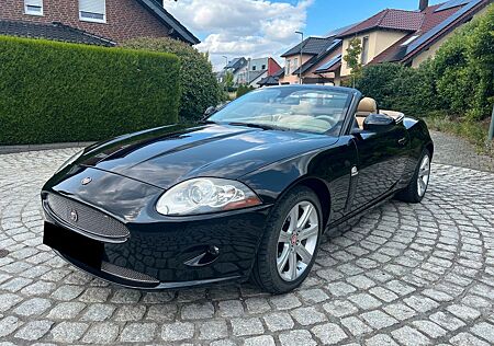 Jaguar XK V8 Cabrio Liebhaber+Leder+Shz+Navi+Xenon+Top!