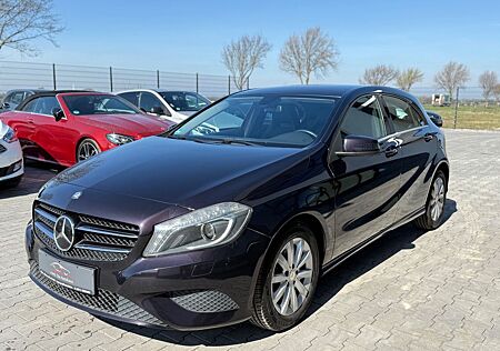 Mercedes-Benz A 180 Aut. BlueEfficiency Leder Bi Xenon