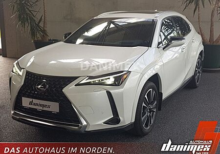 Lexus UX 250h AWD Luxury Executive Schiebedach Kamera