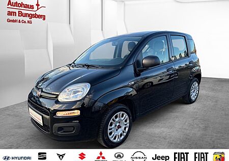 Fiat Panda 1.2 5-Gang 8V Easy*Klima/ZV/HU NEU/PDC*