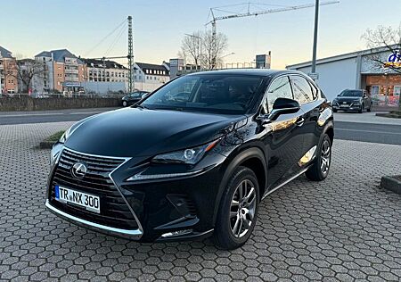 Lexus NX 300 300h Executive Line Executive Line