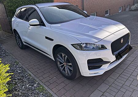 Jaguar F-Pace 20d AWD Pure Automatik Pure