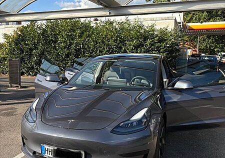 Tesla Model 3 Standard-Reichweite Plus - Hinterrad...