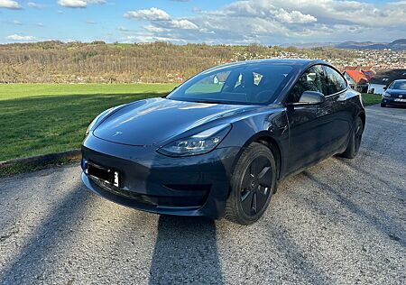 Tesla Model 3 Standard-Reichweite Plus - Hinterrad...