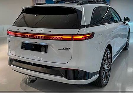 XPENG G9 AWD Performance AHK Keramik WR 550PS