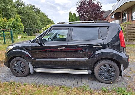 Kia Soul behindertengerechter Umbau, Rollstuhlfahrer