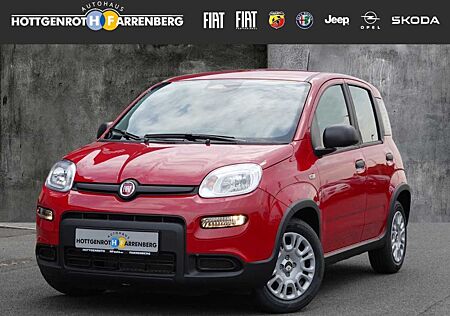 Fiat Panda Pandina Pop Mild MY25 Hybrid 1.0 GSE 51kw