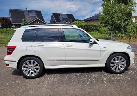Mercedes-Benz GLK 220 CDI 4MATIC BlueEFFICIENCY -