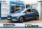 Ford Fiesta 1,0 mHEV Titanium 5t Sicht+Winter+Sicherh