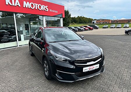 Kia XCeed 1.5 T-GDI Edition 7 Emotion-P Kamera SHZ