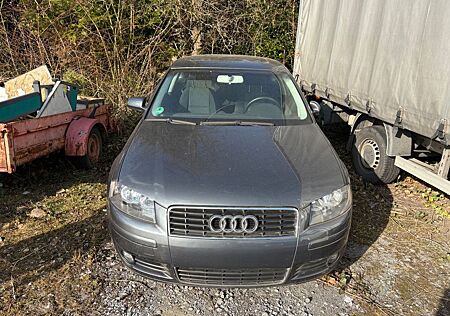 Audi A3 1.6 FSI BJ 2004 Schiebedach