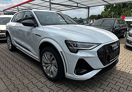 Audi e-tron S quattro*Panorama*