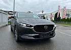 Mazda CX-30 Selection/Leder/NAVI/Kamera/BOSE/Garantie