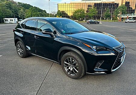 Lexus NX 300 NX 300h - Launch Edition Hybrid Toyota Service
