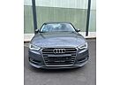 Audi A3 1.6 TDI 77kW Attraction Attraction