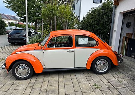 VW Käfer Volkswagen