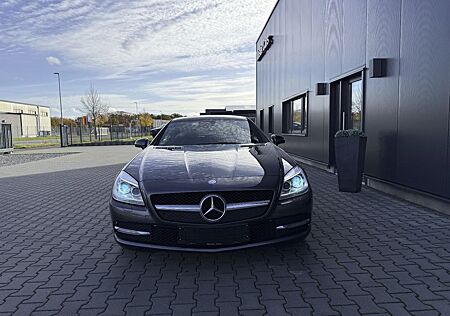Mercedes-Benz SLK 200 Roadster,Panorama,NAVI,Bi-Xenon,Leder
