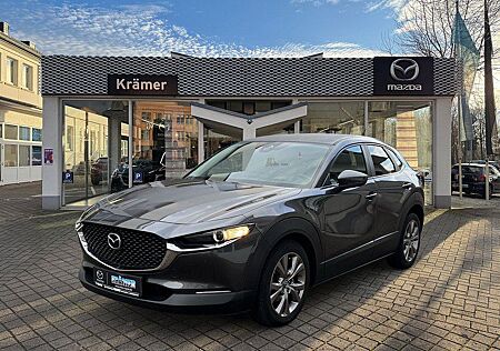 Mazda CX-30 L SKYACTIV-G 2.0 150PS M Hybrid 6GS AL-SEL