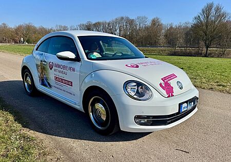 VW Beetle Volkswagen 1.2 TSI CUP