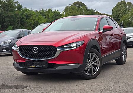 Mazda CX-30 Leder*Schiebedach*Head-Up*Bose*