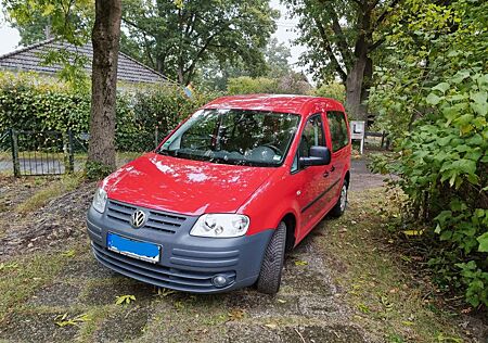 VW Caddy Volkswagen Life 1.6 5-Sitzer - 1. Hand, priv Nachlass