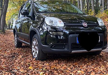 Fiat Panda 4x4 EZ 06/2017, gepflegt, Allrad & sparsam