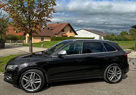 Audi SQ5 gebraucht kaufen Audi SQ5 3.0 TDI tiptronic quattro -