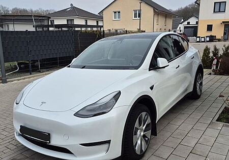 Tesla Model Y Long Range AWD Export EU möglich
