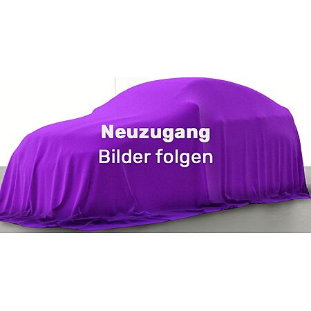 Fiat 500E leasen