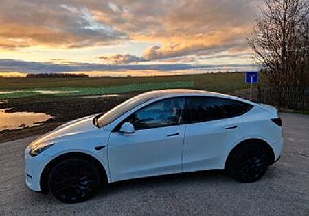 Tesla Model Y Performance Dual Motor AWD Performance