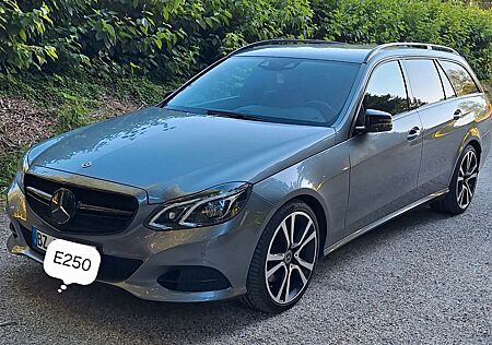 Mercedes-Benz E 250 E250 BlueTEC T-Modell|Avantgarde|Distronic|Kombi