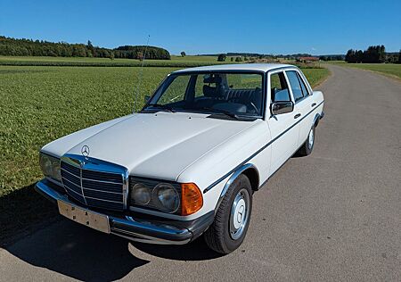 Mercedes-Benz 300 W123 300D Automatik