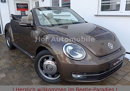 VW Beetle Volkswagen 1.2TSI DSG "50s" Xenon Fender Navi SHZ