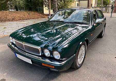 Jaguar Daimler Double Six 6.0 Ltr. LHD mit Historie