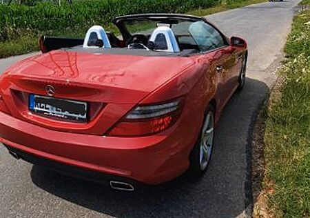 Mercedes-Benz SLK 350 BlueEFF. Edition 1 Autom. Edition 1 Dist