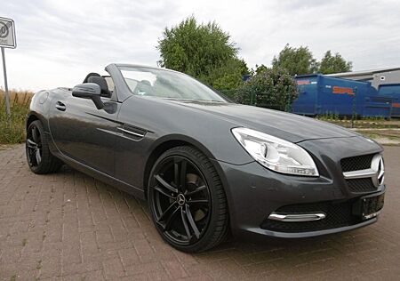 Mercedes-Benz SLK 200 Roadster*BlueEfficiency*19Zoll SR*