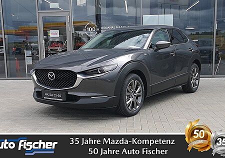 Mazda CX-30 2.0 (186PS) Schalter Exclusive Daso-P. Des