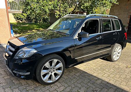 Mercedes-Benz GLK 220 CDI 4MATIC BlueEFFICIENCY AHK NAVI