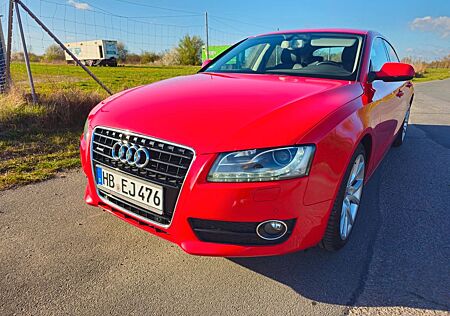Audi A5 3.0 TDI ACC Navi Xenon Alcantara