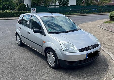 Ford Fiesta 1,3 51 kW Viva Viva