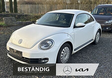 VW Beetle Volkswagen 1.2 TSI Basis/Klima/Xenon/Sitzhzg./EXPORT
