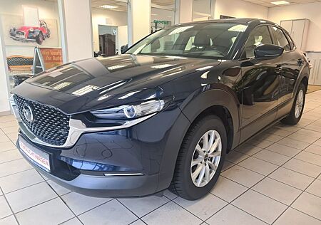 Mazda CX-3 CX-30 Selection 2WD/ 8.FACH BEREIFT/ AHK/ NAVI