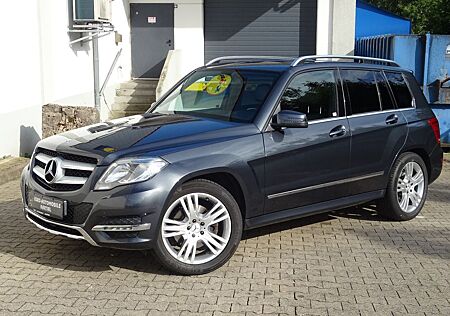 Mercedes-Benz GLK 220 CDI Sport BlueEfficiency AHK2,5t / MOPF