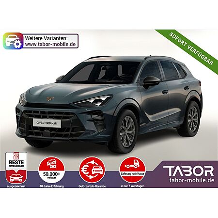 Cupra Terramar leasen