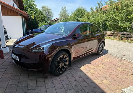 Tesla Model Y Long Range Dual Motor AWD Launch Edi...